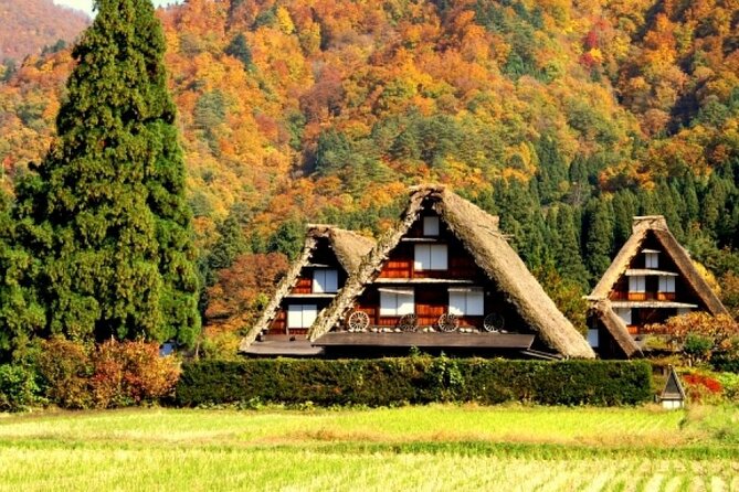 Day Trip for Shirakawago ,Takayama & gujo hachiman from Nagoya - Price and Value: What You Pay for, and What You Still Need