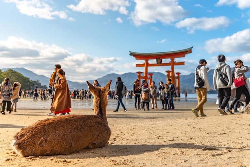 Day Trip to Hiroshima & Miyajima with Itsukushima Shrine - Key highlights that make this day trip worth your time