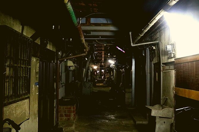 Deep Backstreet Osaka Tours (Option to add Dinner) - Why 5:30 pm backstreets work so well in Osaka