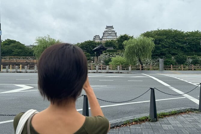 Discover Every Bit of Himeji Castle - World Heritage near Osaka - Who This Tour Suits Best