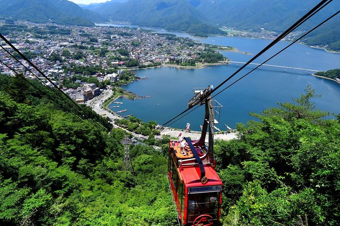 Discover Mt. Fuji 5th Station & Kawaguchiko Sightseeing Day Tour - The Fuji-Q Highland stop: a restroom and lunch reset