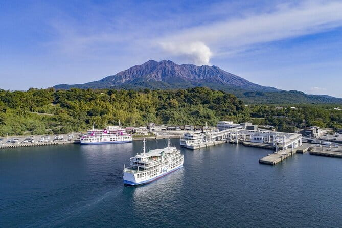 Discover the Wonders of Sakurajima Half Day Tour in Kagoshima - Price and value: what $95.54 includes (and what it does not)