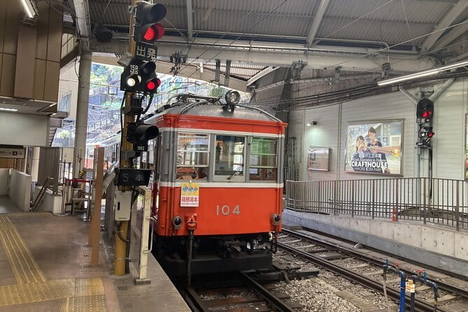 Do You Want to Try Skywalk? A New Way of Enjoying Hakone! - Things to keep in mind before you book