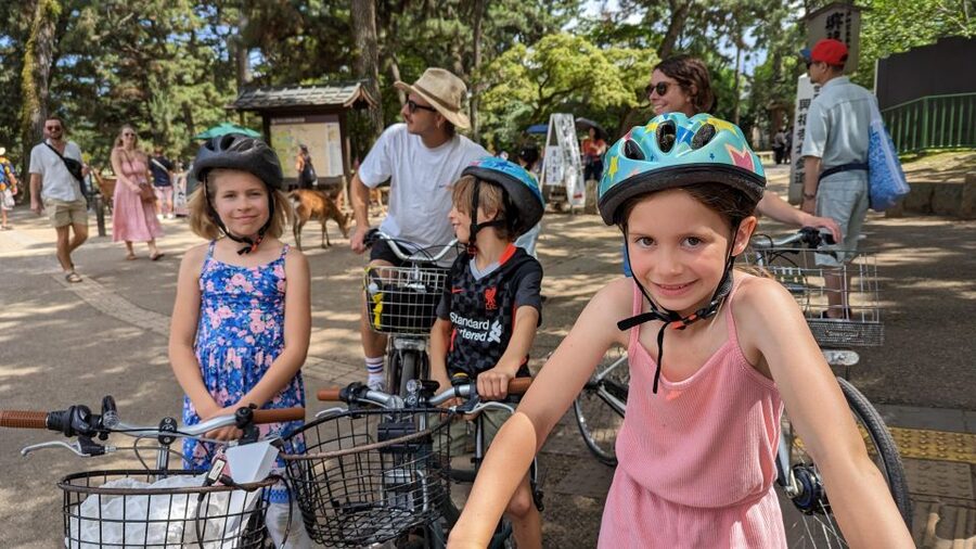 E-Bike Nara Highlights - Todaiji, Knives, Deer, Shrine - Key highlights in plain terms