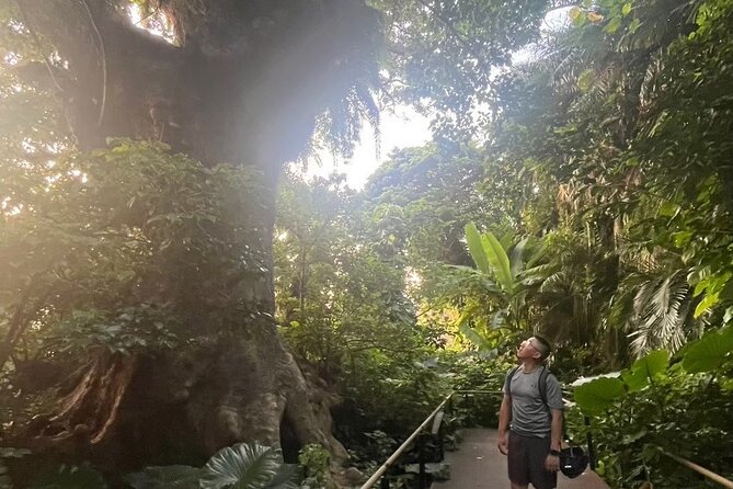 E-Bike Nature Tour in Shuri - Key highlights worth knowing