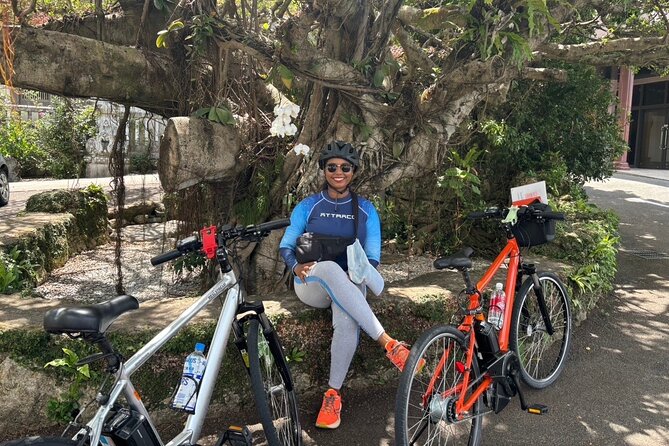 E-Bike Nature Tour in Shuri - Shuritobarucho spring: waterfowl, birdsong, and a quiet reset