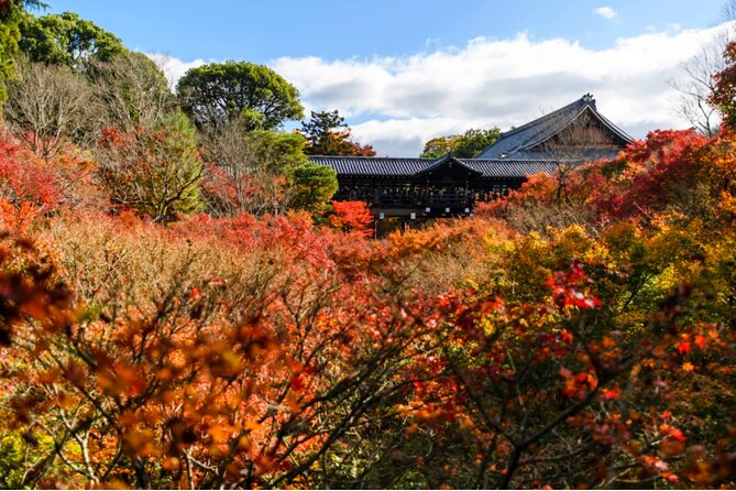 Early Bird E-biking through East Kyoto - Nanzen-ji: the stop that often feels bigger than the photos