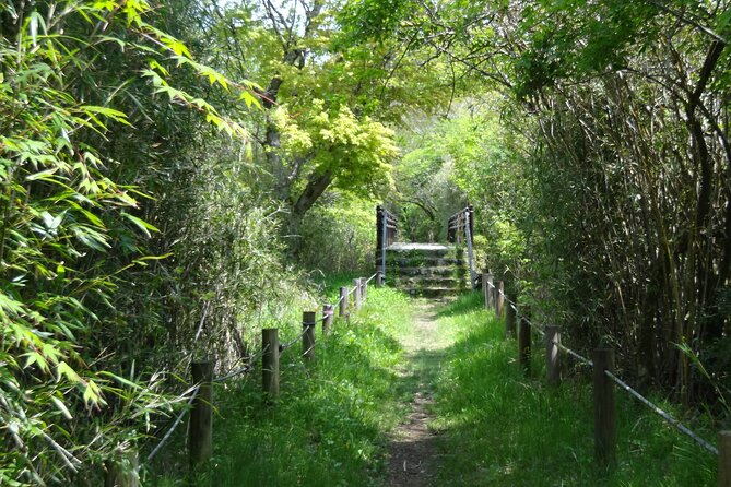 Easygoing Nature Walk in Hakone Tour - Key Highlights You’ll Care About