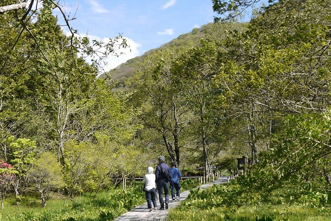 Easygoing Nature Walk in Hakone Tour - Stop 3: Hakone Visitor Center for English Context and Trail Options