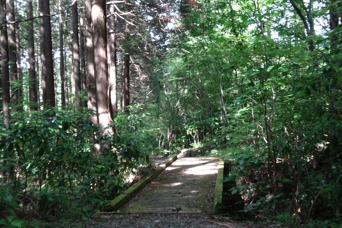 Easygoing Nature Walk in Hakone Tour - Getting There, Timing, and Why Togendai Is a Strong Finish