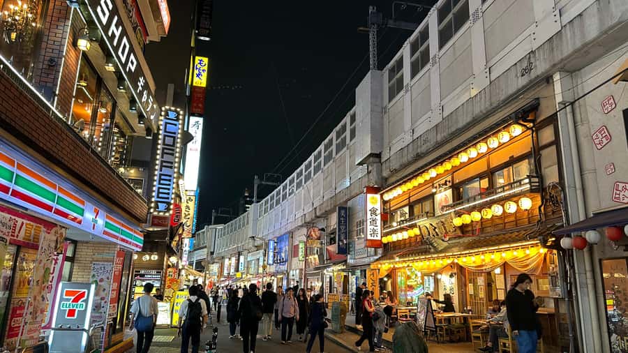 Eat/Drink like a LOCAL-Taverns & Ramen - Stop-by-Stop: Wine, Sashimi, Grilled Fish, and Skewers