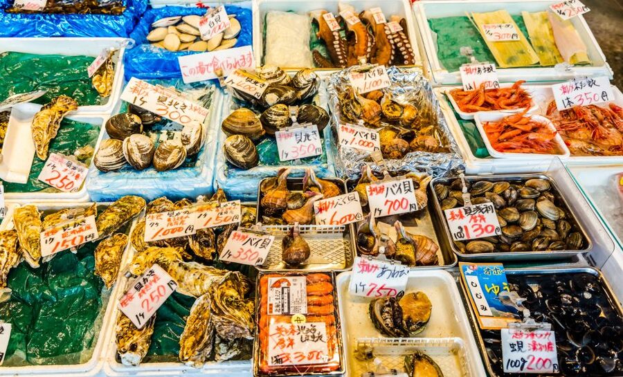 Eat Like a Local in Sapporo – Private & Custom Food Tour - Should You Book This Sapporo Food Tour?