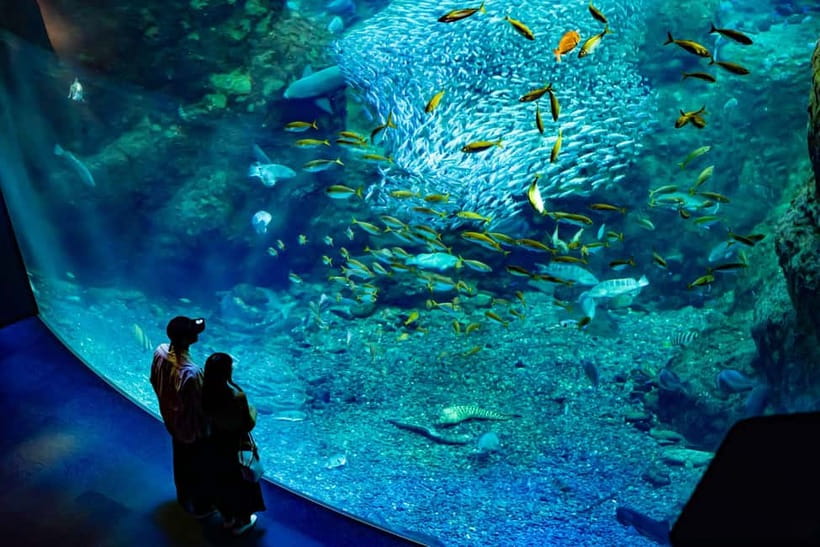 Enoshima Aquarium: Admission Ticket - Key Things I’d Prioritize at Enoshima Aquarium