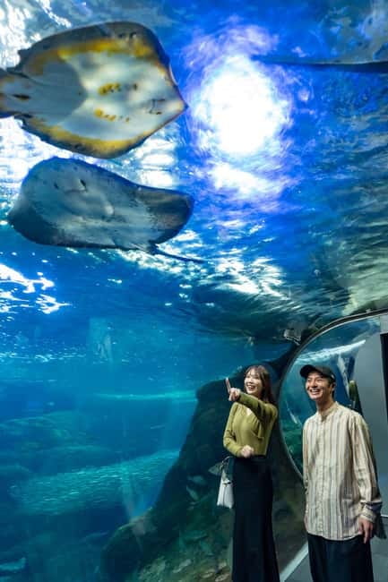 Enoshima Aquarium: Admission Ticket - Jellyfish and deep-sea creatures: the photo-worthy part that also teaches
