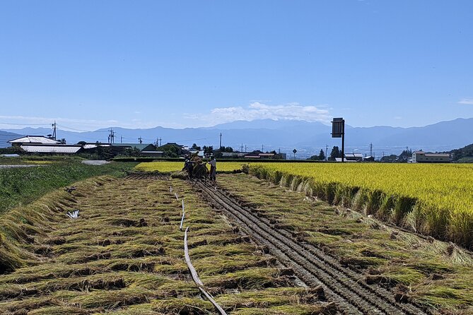 eTour de Matsumoto - Electric Bike Tour - Price and value: what $88.02 gets you