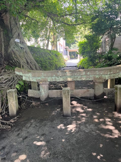 Experience about the blessings of the earth in Sakurajima. - The Hot Spring Foot Bath You Dig Yourself
