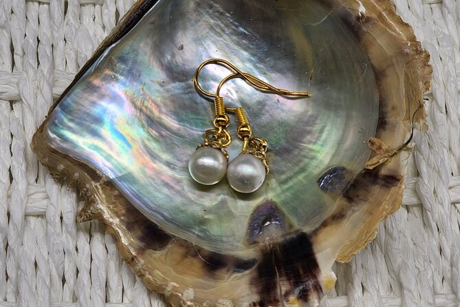 Experience Extracting Pearls From Akoya Oysters　osaka - What you take home, one oyster shell and one pearl