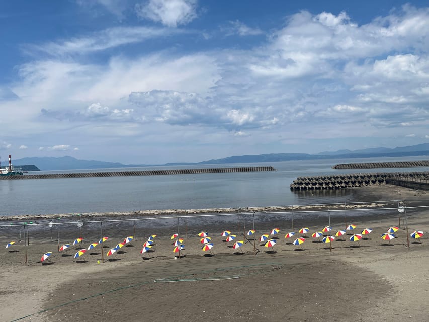 Experience the blessings of volcanoes in Kagoshima, Kyushu - What Makes This Kagoshima Volcano Day Feel Different