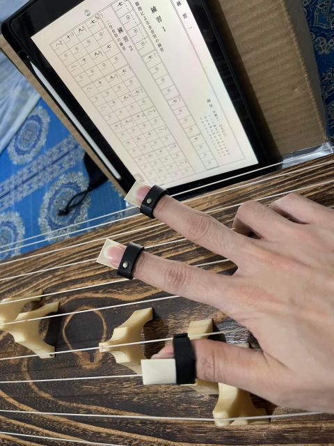 Experience the Soul of Hiroshima: A Peaceful Koto Workshop - Your 90-Minute Flow Near Peace Memorial Park
