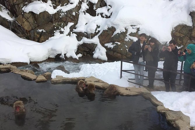 Explore Jigokudani Snow Monkey Park with a Local Guide - Stop 4: Kaede no Yu foot spa, aka ashi-yu, to warm up before the train