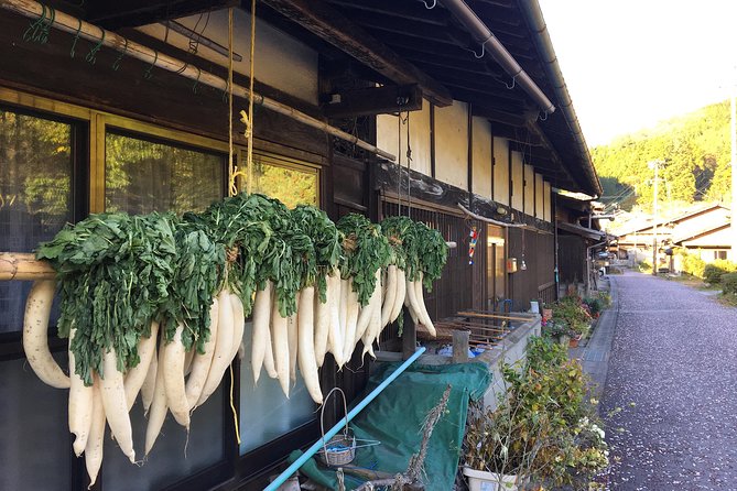 Explore Kiso Valley : Magome - Tsumago Mountain Trail Walk - Guides who turn a hike into a story: Ryo, Moto, Harumoto, Kazuo