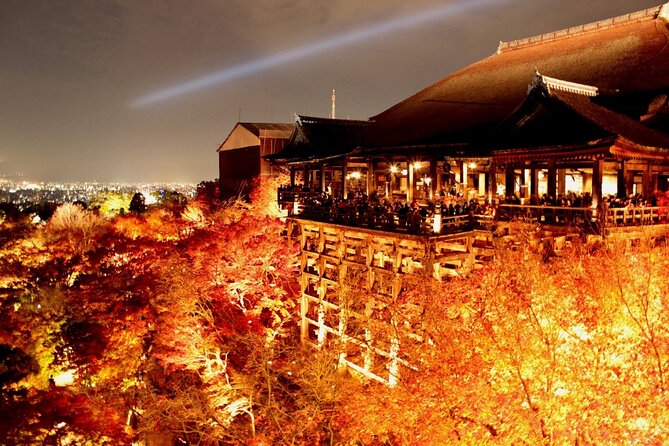 Explore Kyoto | Private Tour - Local English Driver(guide option) - The value math: what you pay for (and what you don’t)