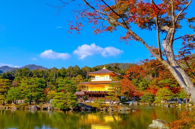 Explore Kyoto | Private Tour - Local English Driver(guide option) - Guides, drivers, and the difference between “English speaking” and a walking guide