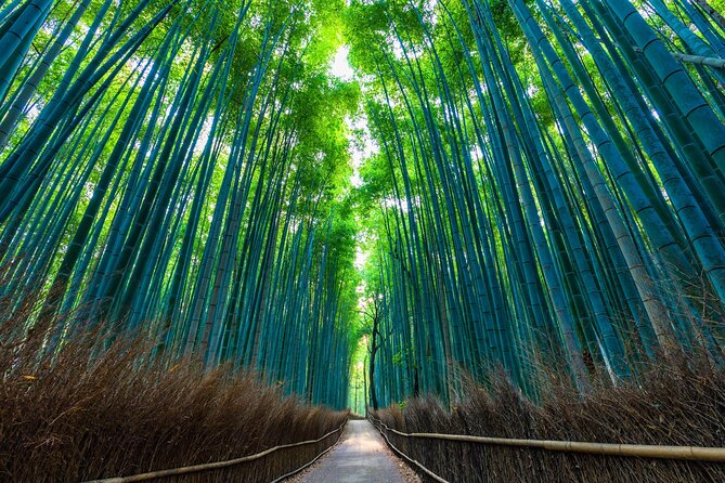 Explore Kyoto | Private Tour - Local English Driver(guide option) - Custom itinerary: from the four big stops to extra Kyoto classics