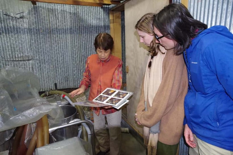Explore Matsumoto: Castle, Sake & Taste of Local Life - Price and value: why $112 can feel fair here
