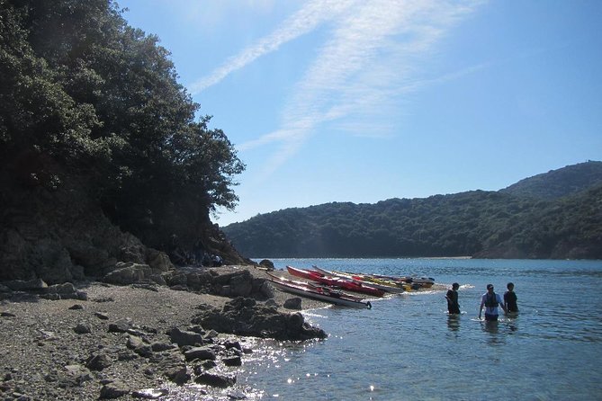 Explore the Nature that Inspired Ghibli Movies by Kayak (Half Day) - Tomonoura, Fukuyama, and why this feels like a Ghibli story