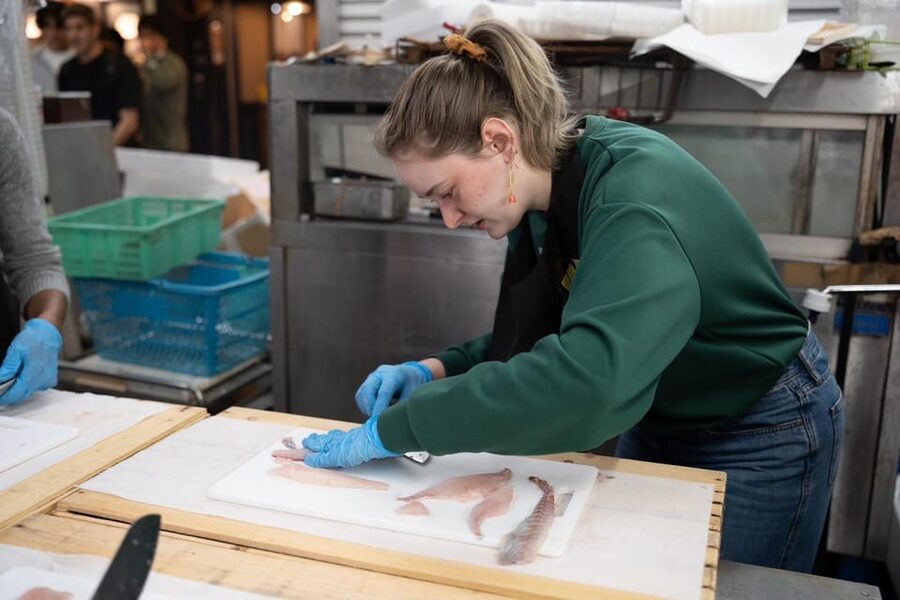 Fish cutting class - Who should take this fish cutting class in Kyoto