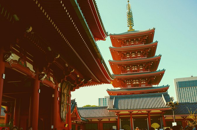 From Asakusa: Old Tokyo, Temples, Gardens and Pop Culture - Who should book this East Tokyo mix, and who should skip it