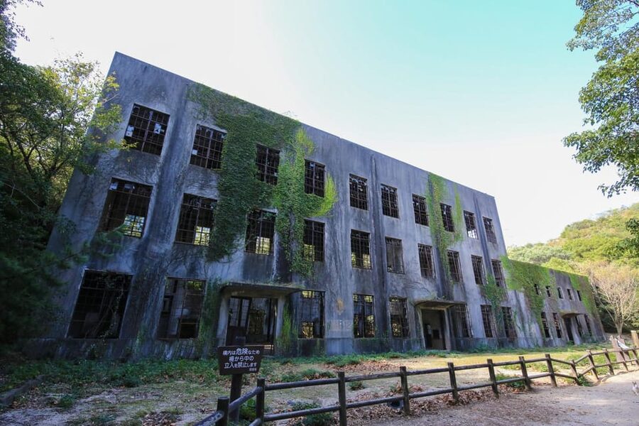 From Hiroshima: Rabbit Island and Takehara Town Tour - Edo Merchant Life at the Former Matsusaka Family Residence