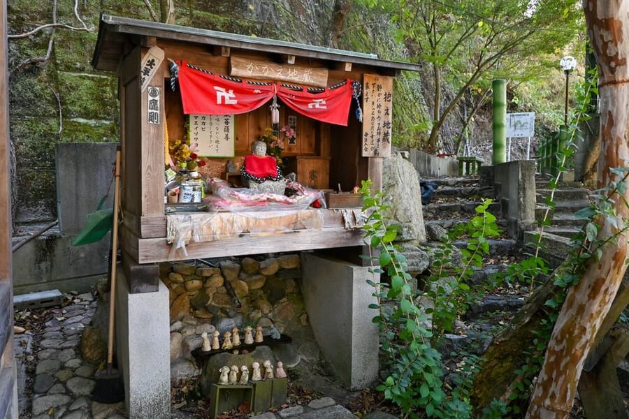 From Hiroshima: Rabbit Island and Takehara Town Tour - Rabbit Feeding and Free Time: Your Best Choices on the Island