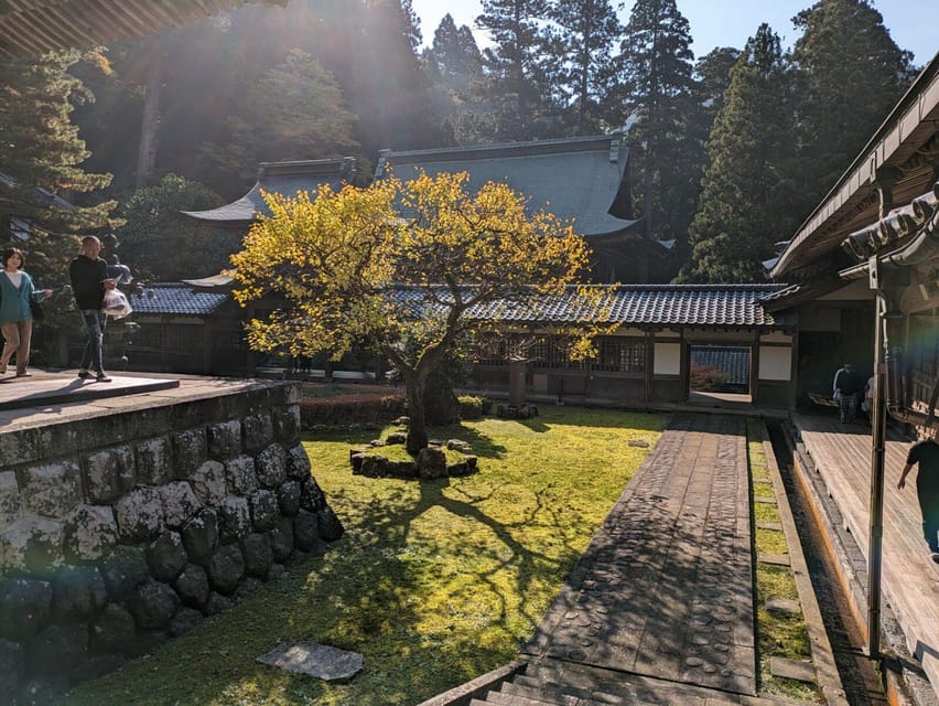 From Kanazawa: Eiheiji Buddhist Temple & Fukui Castle Town - Lunch in Fukui: your flexible reset during a packed day