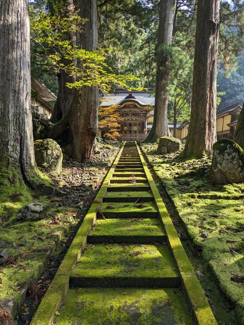 From Kanazawa: Eiheiji Buddhist Temple & Fukui Castle Town - Kanazawa Station to Fukui: train views and the Dino Square start