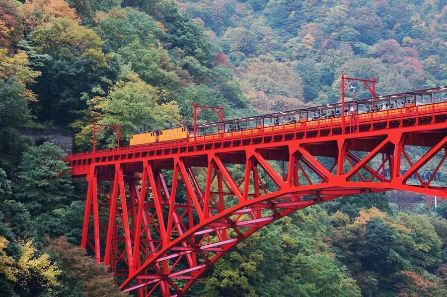 From Kanazawa: Kurobe Gorge & Unazuki Onsen Full-Day Tour - The trolley ride through Kurobe Gorge to Nekomata Station