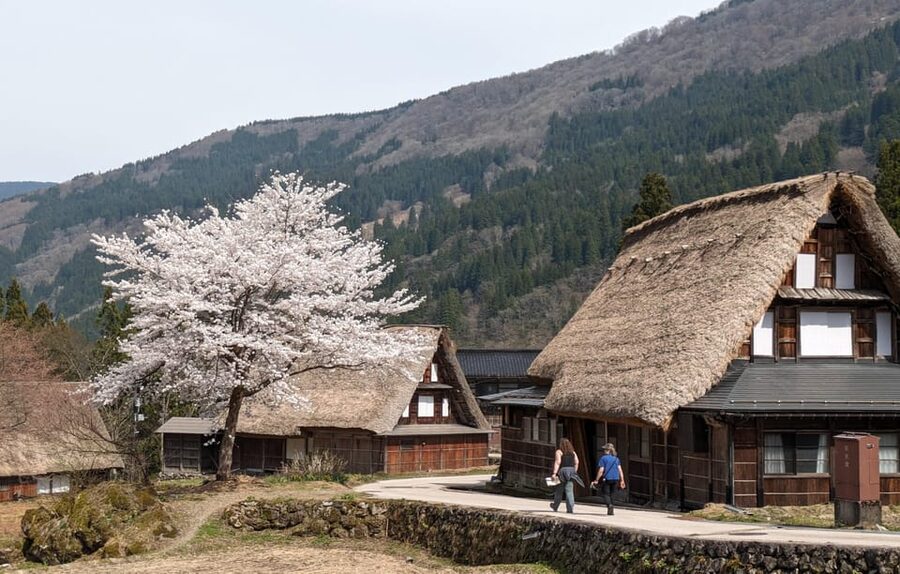 From Kanazawa: Shirakawa-go, Gokayama and Wood Carving Art - Should you book From Kanazawa: Shirakawa-go, Gokayama and Wood Carving Art?