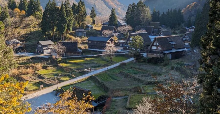 From Kanazawa: Shirakawa-go, Gokayama and Wood Carving Art - How the guided stops help you notice more (without rushing you)