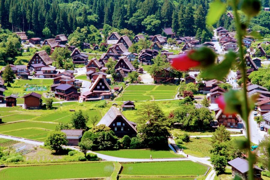 From Kanazawa: Shirakawago, Hida-Furukawa and Takayama Visit - Price and value: how $850 per group up to 3 adds up