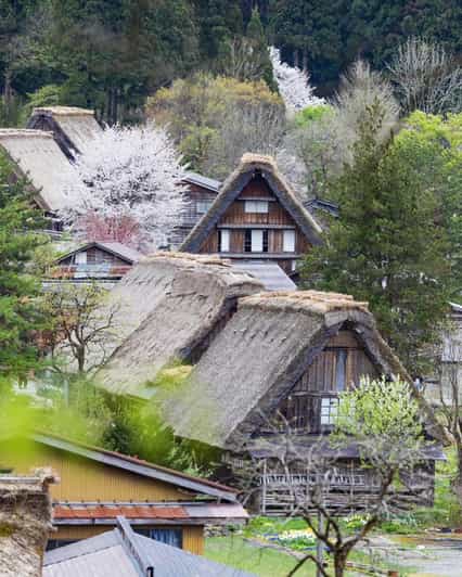 From Kanazawa/Toyama: Shirakawago and Takayama Day Tour - Why this private Shirakawa-go and Takayama route beats a bus day