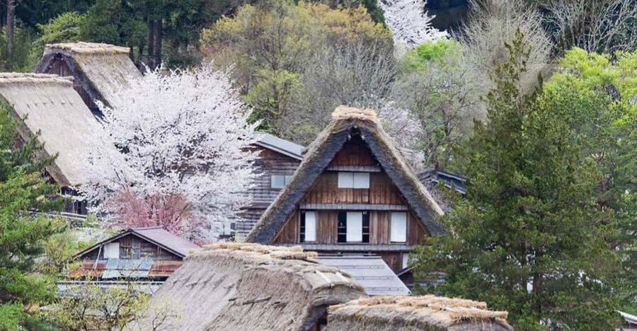 From Kanazawa/Toyama: Shirakawago and Takayama Day Tour - Price and value: is $580 per group up to 3 worth it?