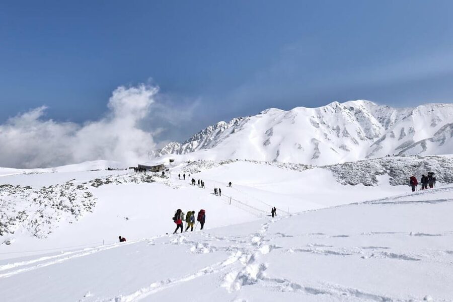 From Kanazawa/Toyama: Snow Wall & Mysterious Valley Day Tour - Quick hits from the Tateyama Snow Wall day tour