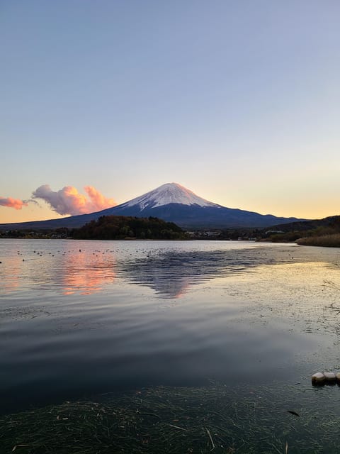 From Kawaguchiko: Mt. Fuji Private Tour with a Local Guide - The route philosophy: parks, shrines, and lakes with photo-ready timing