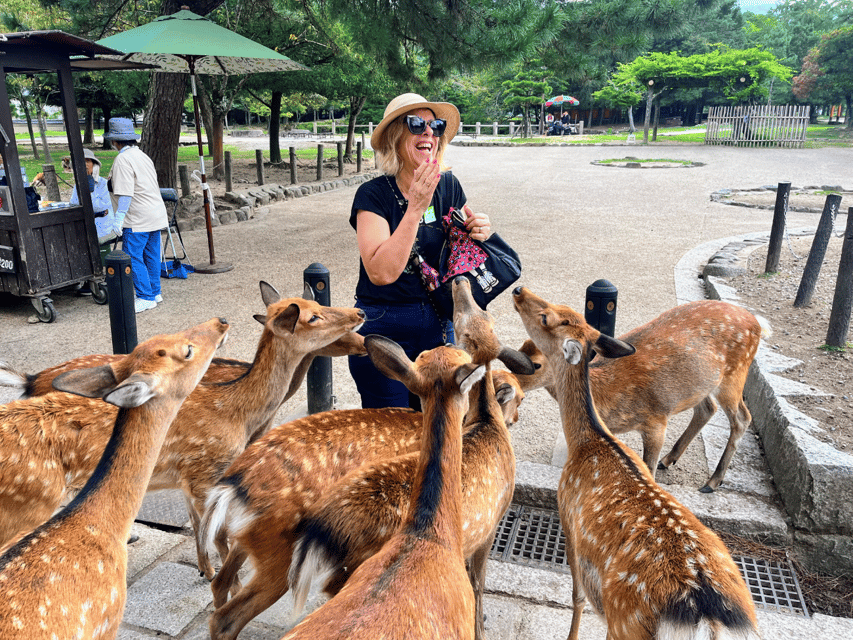 From Kyoto: Nara Guided Morning Tour - Key things that make this tour work