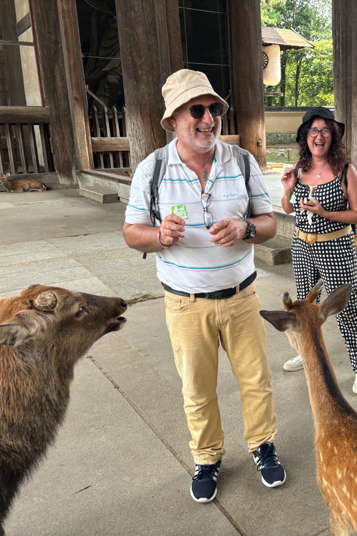 From Kyoto: Nara Guided Morning Tour - Todaiji Temple and the Great Buddha Hall: where you should focus