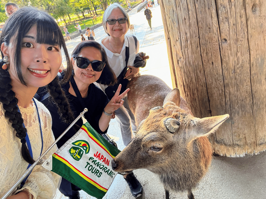 From Kyoto: Nara Guided Morning Tour - Time management: how the 4 hours actually feels on your feet