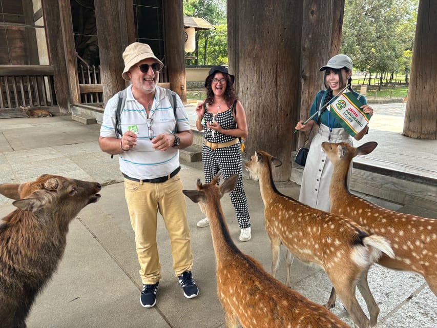 From Kyoto: Nara Guided Morning Tour - Coach ride details: what you get between Kyoto and Nara