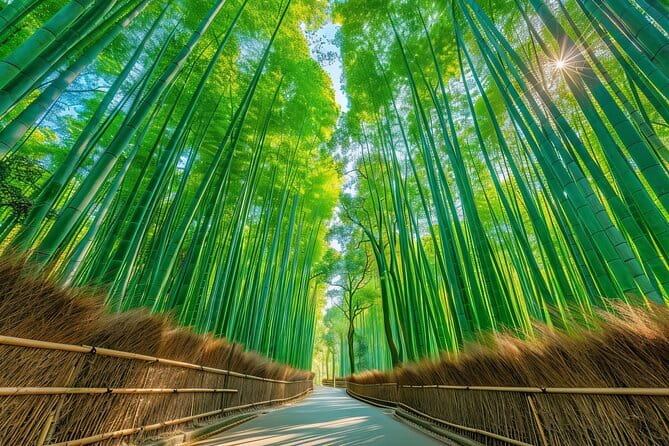 From Kyoto / Osaka: Kyoto Must-see Spots & Nara Park One Day Tour - Key things I think are worth your attention