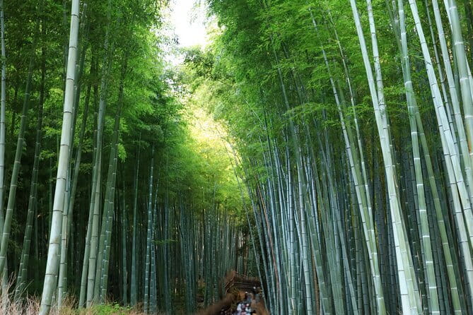 From Kyoto / Osaka: Kyoto Must-see Spots & Nara Park One Day Tour - Why This Kyoto-Nara Day Tour Works When You Are Short on Time